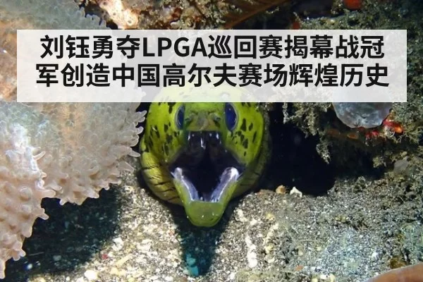刘钰勇夺LPGA巡回赛揭幕战冠军创造中国高尔夫赛场辉煌历史